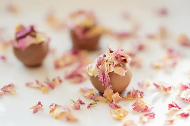 오토 카시노 카지노 안드로이드/iOS 앱